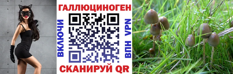 Псилоцибиновые грибы ЛСД закладка Дюртюли